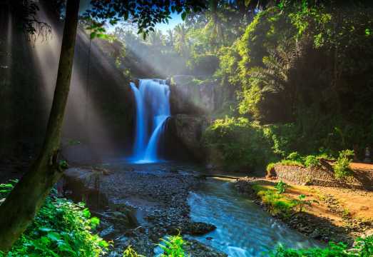 Ubud Tour: Rice Terrace, Monkey Forest, Elephant Cave, Batuan Temple, Waterfall Day Tour
