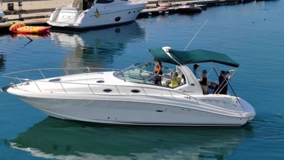 【大連遊艇】大連東港英姿38英尺美國進口遊艇包船出海+遊艇自駕體驗+海鷗投餵