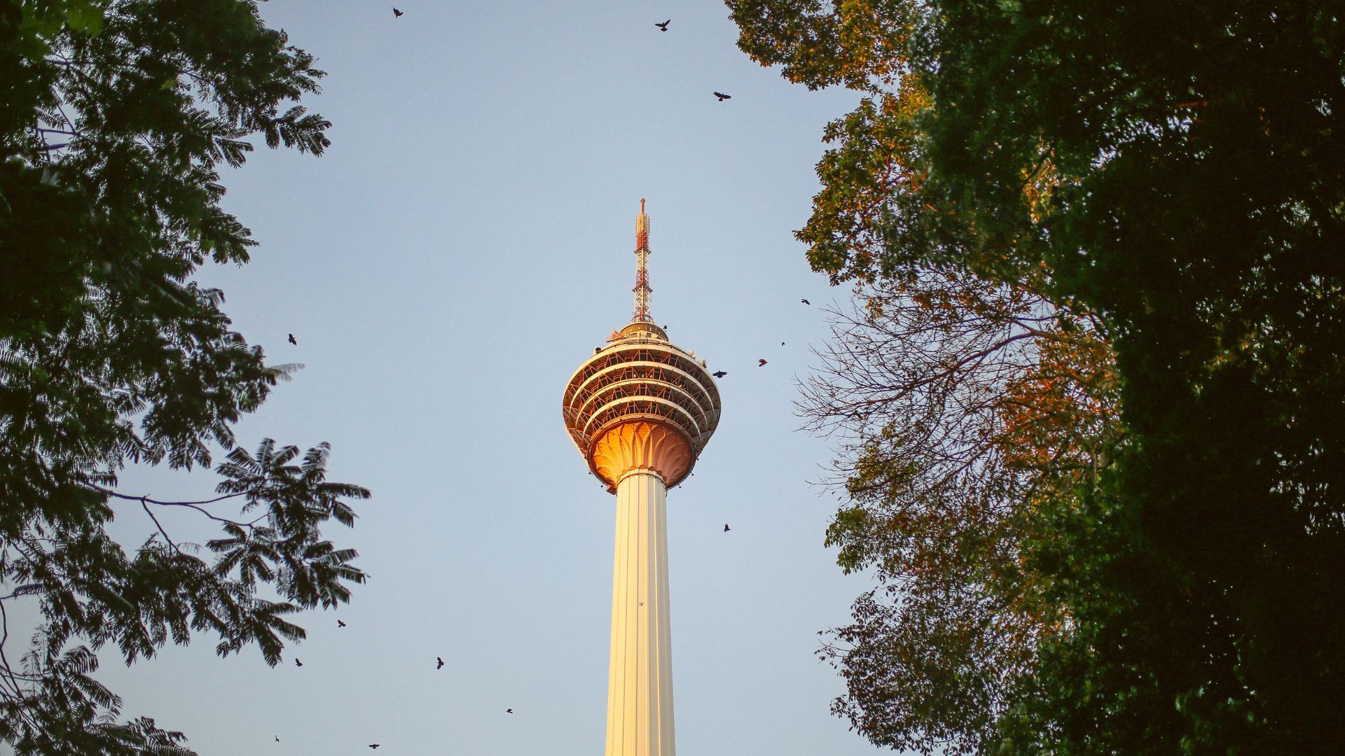 Tour alla scoperta di Kuala Lumpur con visita alla Skydeck e Skybox della KL Tower - Opzione privata