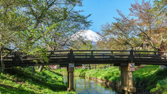 Arakurayama Sengen Park & Lake Kawaguchi Ropeway Day Tour