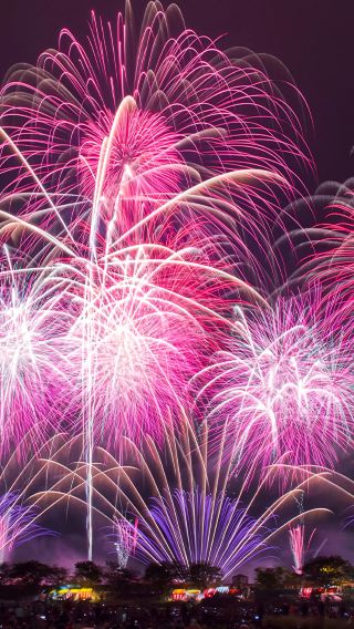1-day tour to the Tsuchiura all Japan fireworks competition on November 7 (departing from Tokyo, including fireworks seating)