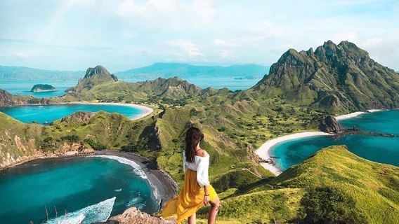 однодневный тур на Комодо в Индонезии [Розовый пляж|Комодский дракон|Падар|Выход в море на скоростном катере/моторной лодке