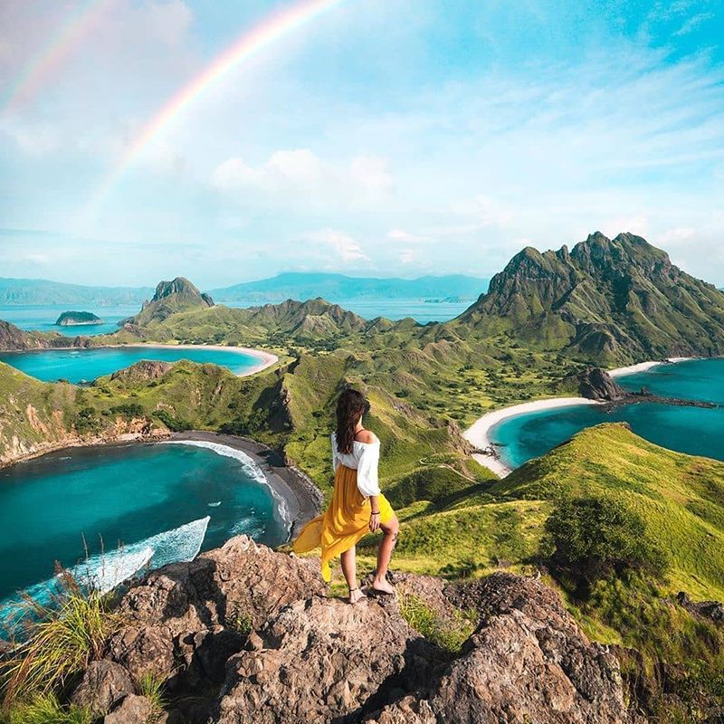 однодневный тур на Комодо в Индонезии [Розовый пляж|Комодский дракон|Падар|Выход в море на скоростном катере/моторной лодке