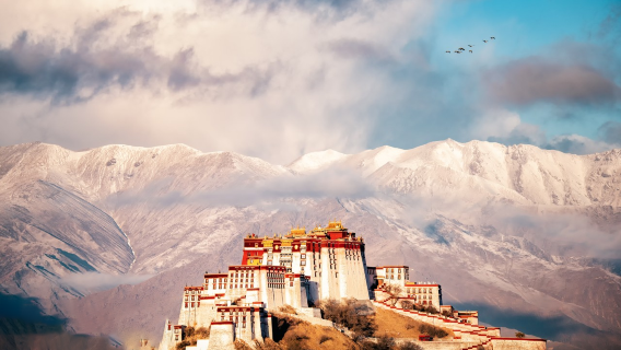 Dịch vụ hướng dẫn viên địa phương tại Lạp Tát bao gồm thuê xe riêng, phiên dịch, đón tiễn, tham quan du lịch, hội chợ thương mại, khảo sát kinh doanh và hỗ trợ khám chữa bệnh