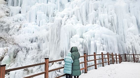 Vertrek vanuit Seoul: eendaagse tour naar Seoraksan + Nami-eiland + Eopicheon-vallei