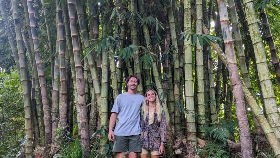 Tetebatu: Rice Fields, Waterfall, & Monkey Forest Day Tour