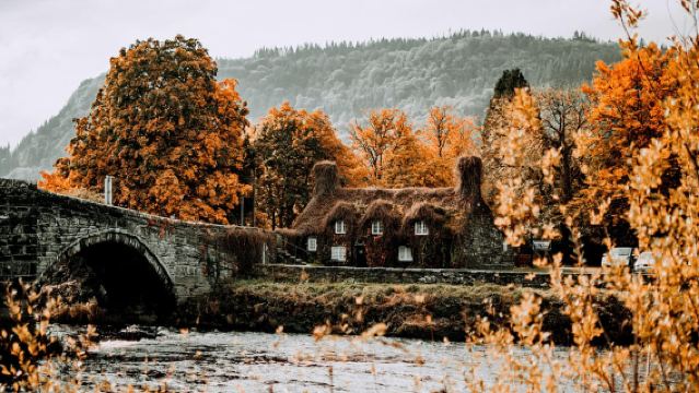 Liverpool North Wales explorer Shore Excursion StandardTour