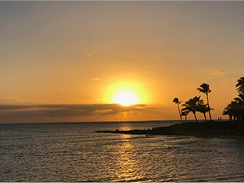 Napoli: crociere in catamarano con vista sulla fauna selvatica