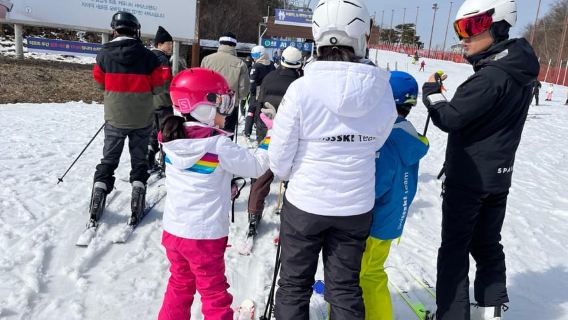 Desde Seúl: Excursión de un día a la estación de esquí de Elysian