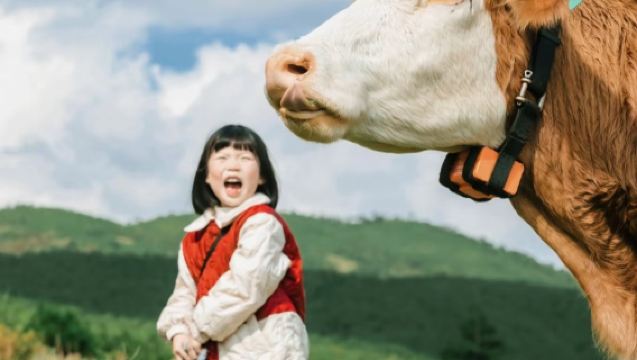 Lijiang Lashihai Tea Horse Road one-day tour|Horse riding and boating|Pure play group|Internet celebrity manor|