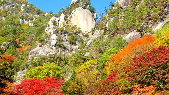 Tour autunnale in autobus di un giorno a Shosenkyo, tempio Erinji e raccolta dell'uva da Tokyo