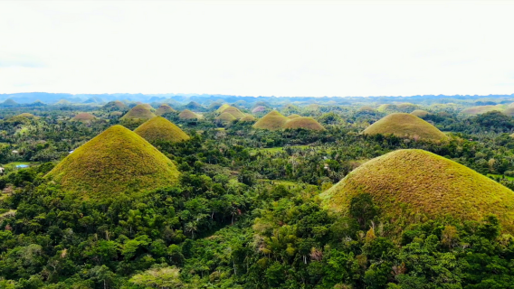 Tour della campagna di Bohol con Southwest Tours