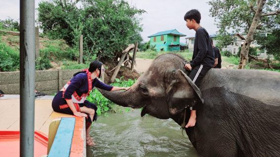 Phra Nakhon Si Ayutthaya River Cruise Experience | Explore Ancient Ruins + Up-Close Elephant Bathing Interaction
