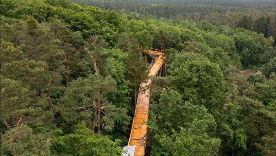 Tour 1 ngày Lâu đài Nürnberg + Nhà thờ Đức Bà Nuremberg + Sở thú Nuremberg