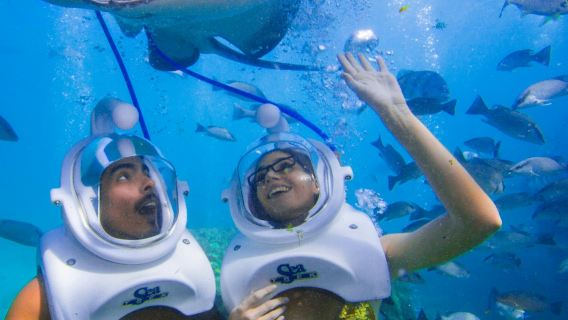 Tenerife: Experiencia guiada de senderismo submarino