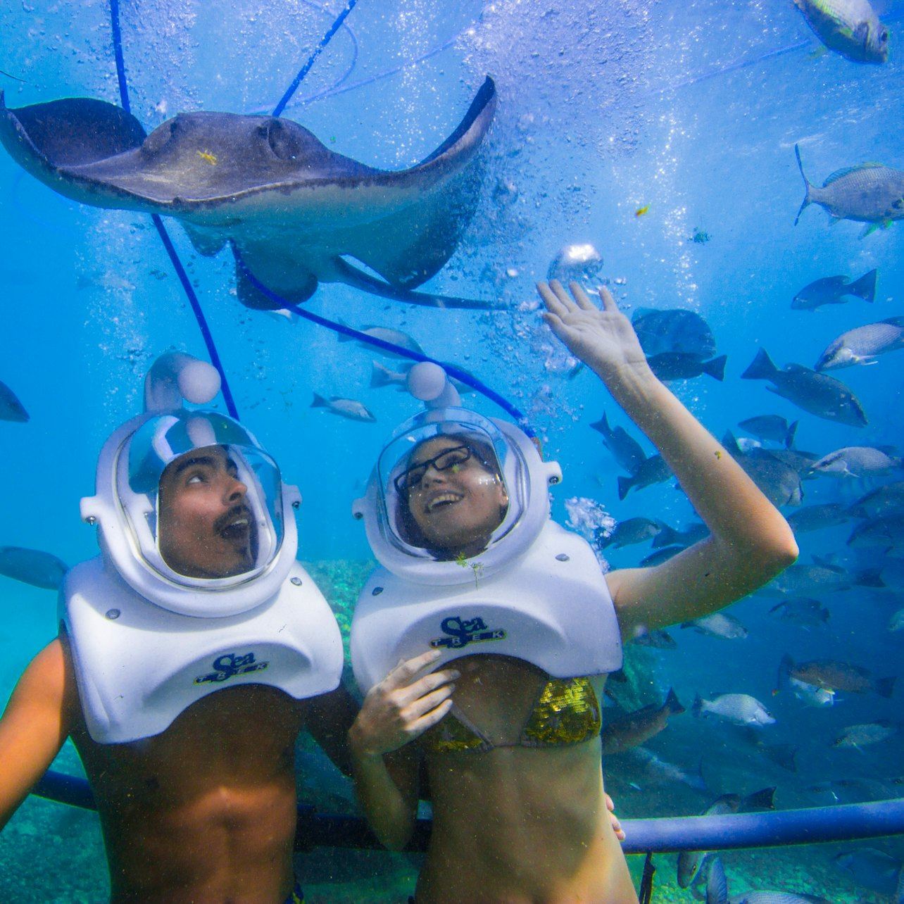 Tenerife: Experiencia guiada de senderismo submarino