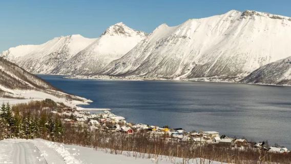挪威特羅姆瑟來回塞尼亞島-包車-拼團實施詢價 中文司導