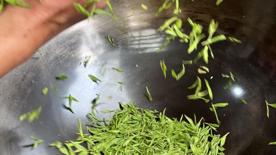 Hangzhou: Longjing Tea Picking + Pan-Firing Process + Song Dynasty Tea Ceremony Experience from A Dream of Splendor + Estate Tea Tasting