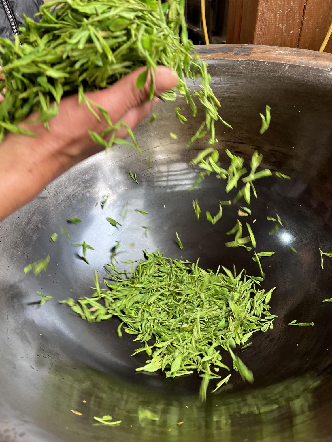 Hangzhou: Longjing Tea Picking + Pan-Firing Process + Song Dynasty Tea Ceremony Experience from A Dream of Splendor + Estate Tea Tasting