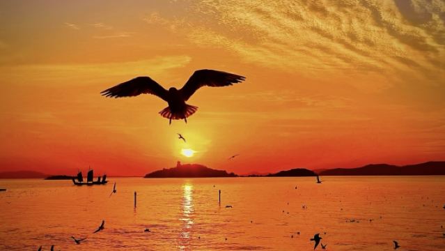 無錫靈山勝境+黿頭渚+太湖仙島 觀海鷗純玩無購物跟團一日遊