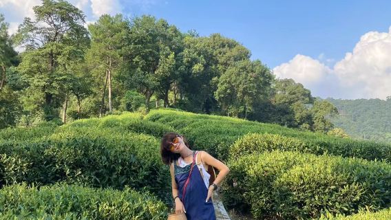 Hangzhou West Lake Longjing Meijiawu Tea Picking, Frying, and Tasting Experience