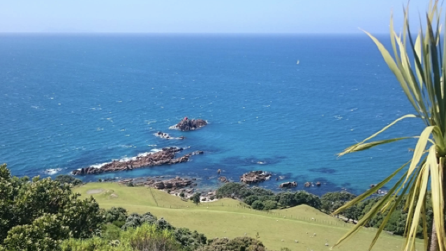 紐西蘭奧克蘭&羅託魯瓦Skyline天空纜車-可定制【中文專車-愜意舒適】