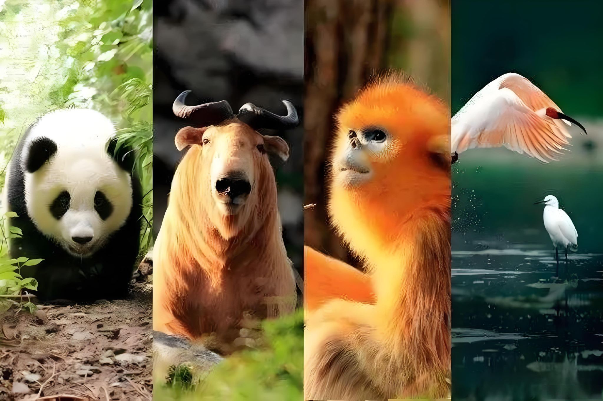 Xi'an Qinling Four Treasures Science Park Puzzle Day Trip [Seven-Sister Special Line] Immerse yourself in the natural wonders