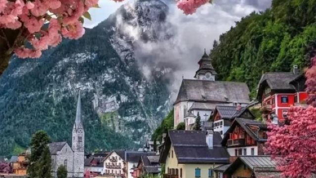 維也納霍夫堡宮+美泉宮+哈爾施塔特小鎮。