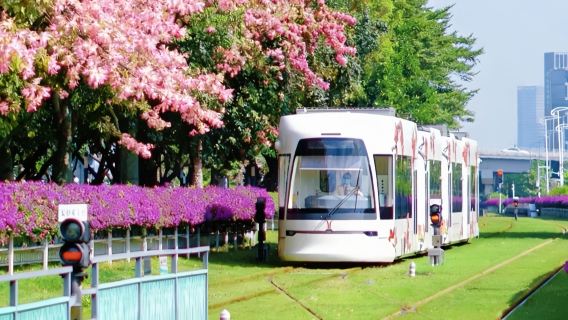 Excursión de un día por Guangzhou en tranvía, torre y crucero nocturno por el río