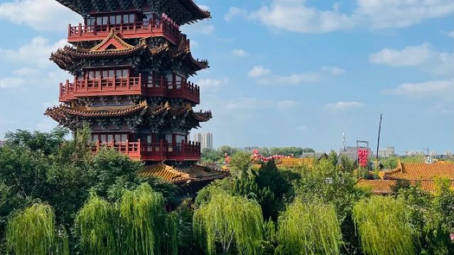 1-day tour to Millennium City Park
