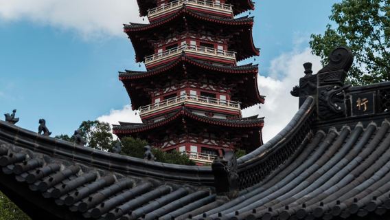 Wenzhou - Taishun: English, Japanese, Korean, German, French, and Russian tour companion + on-site business exhibition interpretation | private charter