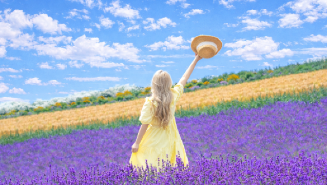 Viaggio estivo ai campi di fiori di Furano, Hokkaido: Collina delle Quattro Stagioni + Fattoria Tomita + Stagno Blu + Albero delle Sette Stelle