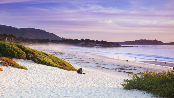 USA: Dagstur med privat transport till 17-Mile Scenic Drive + Carmel-by-the-Sea + Carmel Beach + Pebble Beach