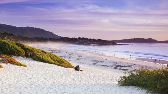 1-day private chartered tour to 17 Mile Dr, Carmel-by-the-Sea, Carmel Beach and Pebble Beach in the US