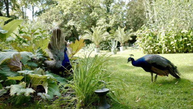 柏林來回一日遊：孔雀島-波茨坦-薩克森豪森-施普雷森林