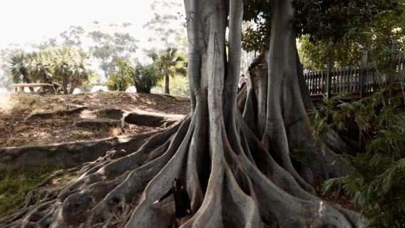 美國洛杉磯來回-中途島號航空母艦博物館-聖地亞哥定制包車【市區接駁】