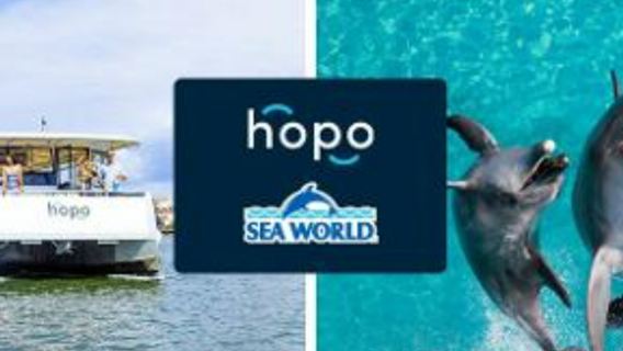 Sea World Gold Coast: Entry Ticket + Roundtrip Ferry