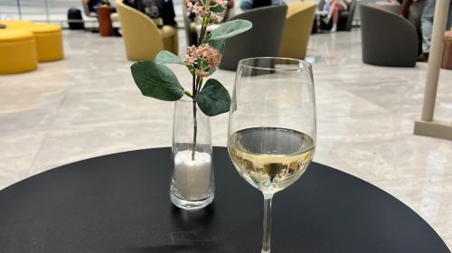 UAE|Zayed International Airport/AUH airport VIP lounge pass|waiting/transfer/rest/dining 2