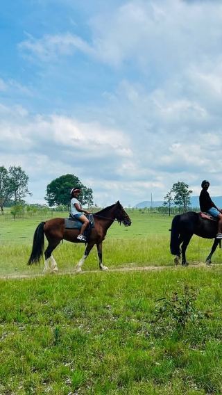 Hunter valley horses riding farm experience