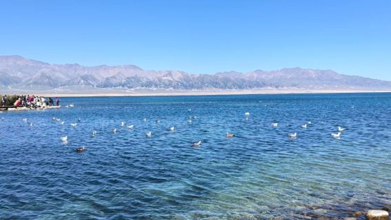Xinjiang, China | Translation accompaniment | Local guide travel | Exhibition | Business inspection | (Private customize available)