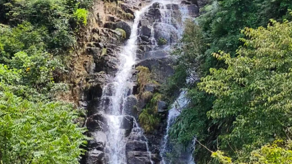 湖州安吉南無古道｜6 公里半日輕徒步，穿行竹海溪谷，邂逅山野