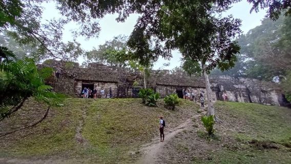Flores: Shared Tikal Sightseeing Tour with Transportation, Guiding, and Jungle Hike