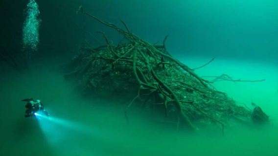 Тулум: 2 погружения с аквалангом в сенотах, включая Deep Pit и Дос Охос