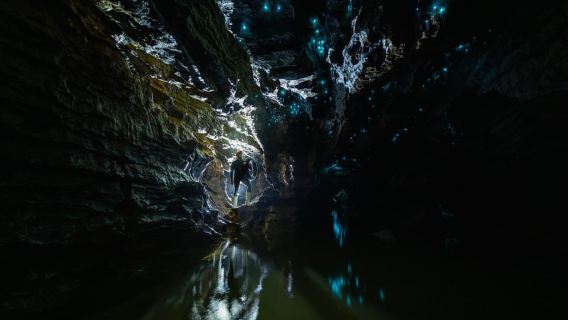 The Waitomo Experience : Okohua Glowworm Cave Tour