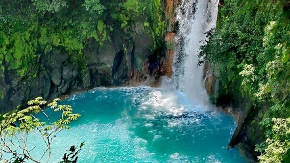Excursión privada al Volcán Tenorio con experiencia de perezosos y café