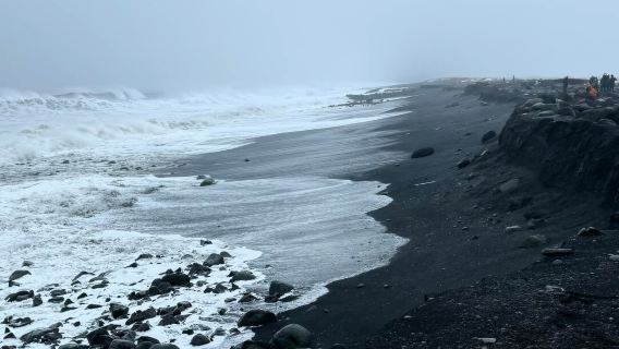 Iceland Reykjavik - Muzium Bandar - Tasik Tjörnin - Jalan Pelangi - Sewaan Peribadi Bahasa Cina - Lawatan Santai