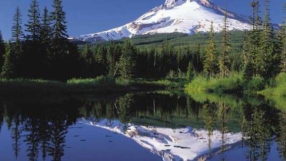 PortlandTours