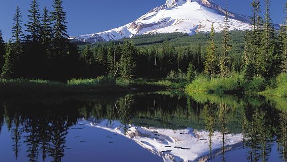 Portland