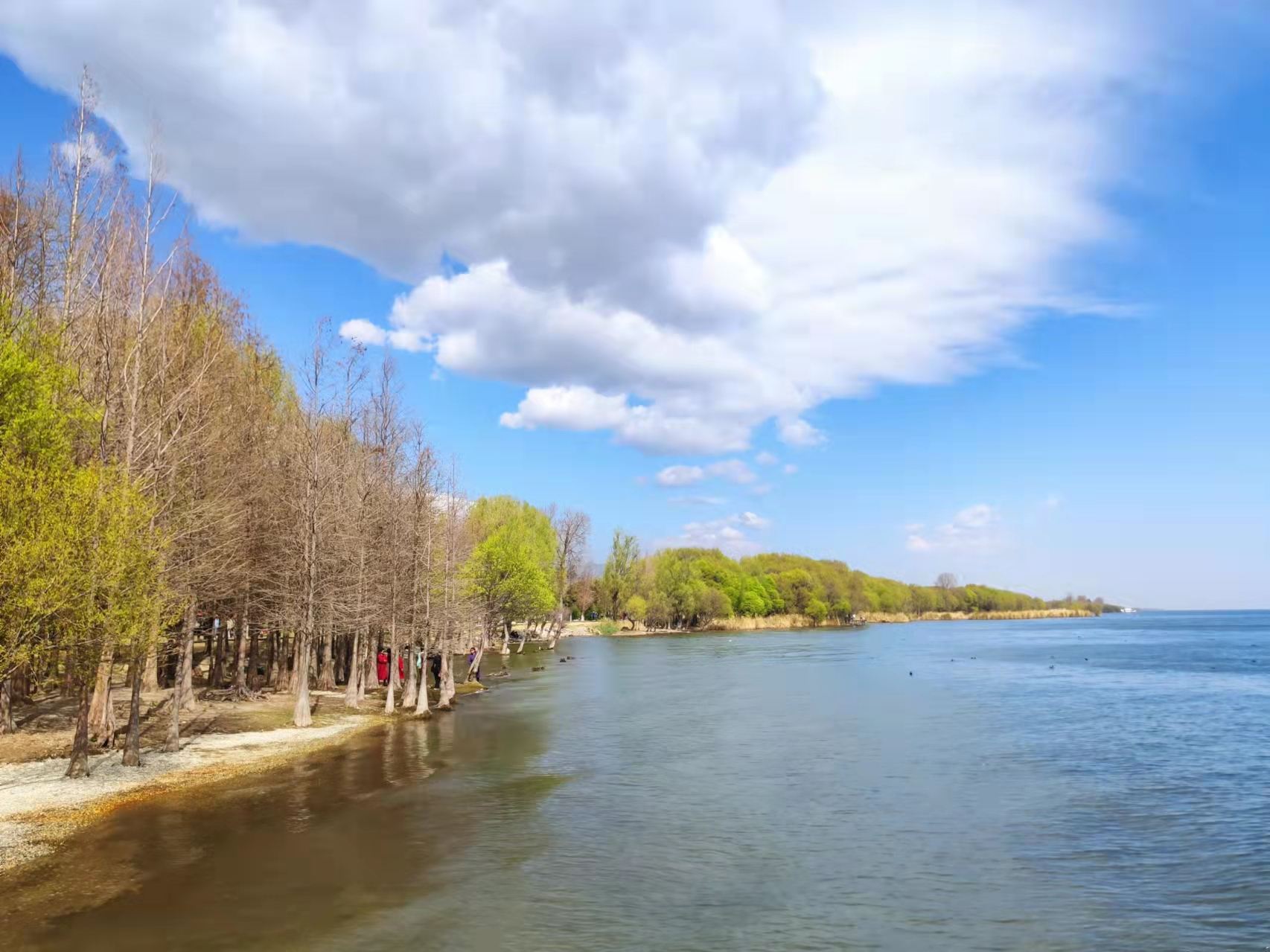 Tour di un giorno a Cangshan e Lago Erhai di Dali [Veicolo privato/Itinerario flessibile/Niente shopping]