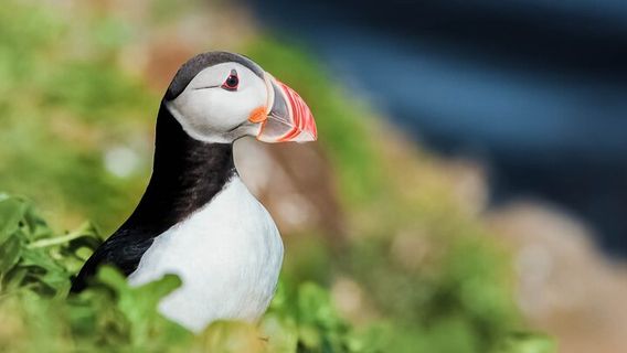 ReykjahlieExperiences